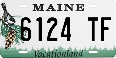 ME license plate 6124TF