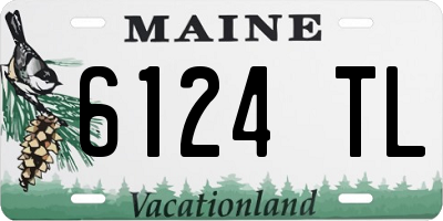 ME license plate 6124TL