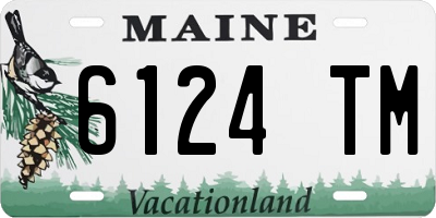ME license plate 6124TM