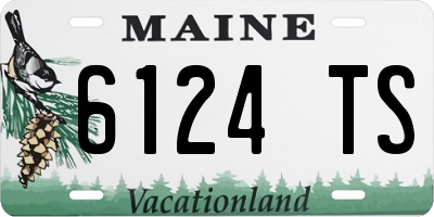ME license plate 6124TS