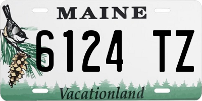 ME license plate 6124TZ