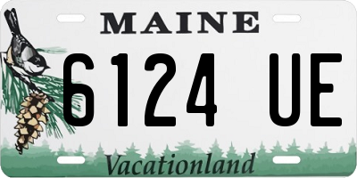 ME license plate 6124UE