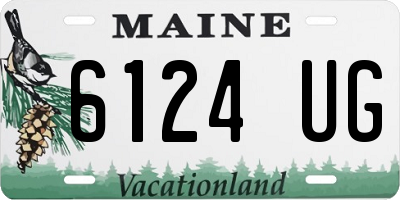 ME license plate 6124UG