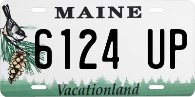 ME license plate 6124UP