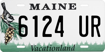 ME license plate 6124UR