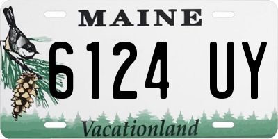 ME license plate 6124UY