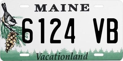 ME license plate 6124VB
