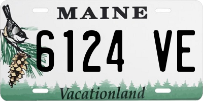 ME license plate 6124VE