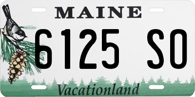 ME license plate 6125SO