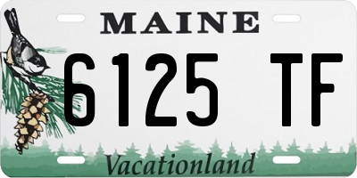 ME license plate 6125TF