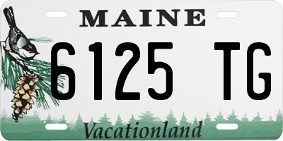 ME license plate 6125TG
