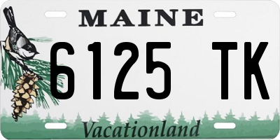 ME license plate 6125TK