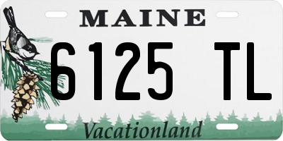 ME license plate 6125TL