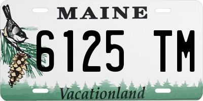 ME license plate 6125TM