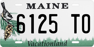 ME license plate 6125TO