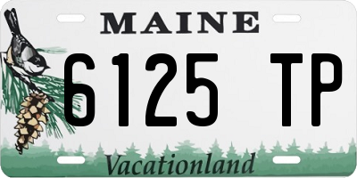 ME license plate 6125TP
