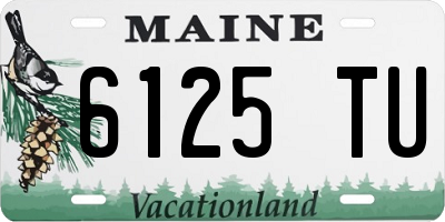 ME license plate 6125TU