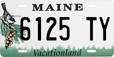 ME license plate 6125TY