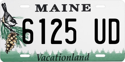 ME license plate 6125UD