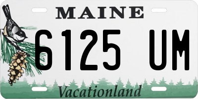 ME license plate 6125UM