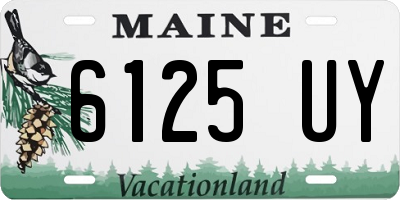 ME license plate 6125UY