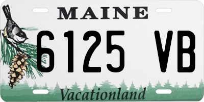 ME license plate 6125VB