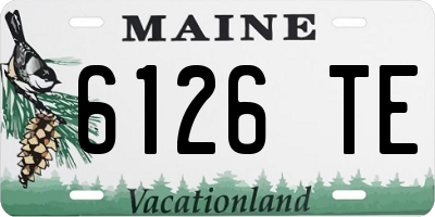 ME license plate 6126TE