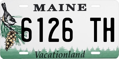 ME license plate 6126TH