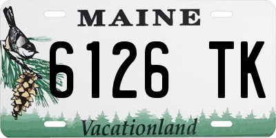 ME license plate 6126TK