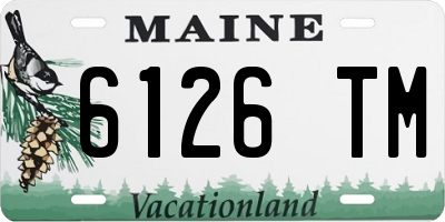 ME license plate 6126TM