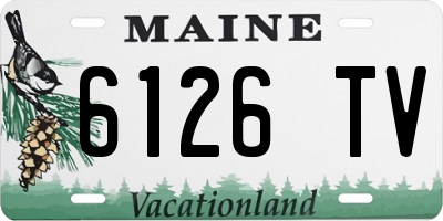 ME license plate 6126TV