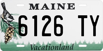 ME license plate 6126TY