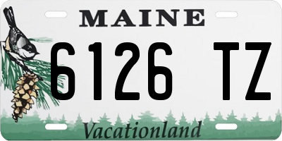ME license plate 6126TZ