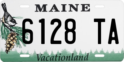 ME license plate 6128TA