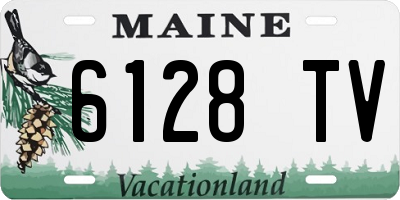 ME license plate 6128TV