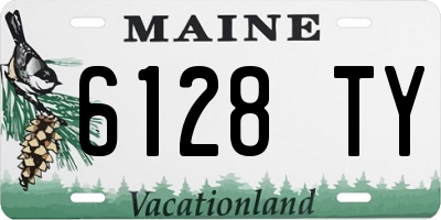 ME license plate 6128TY