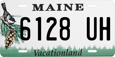 ME license plate 6128UH