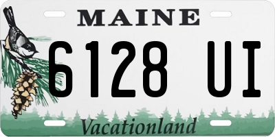 ME license plate 6128UI