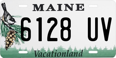 ME license plate 6128UV