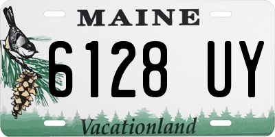 ME license plate 6128UY