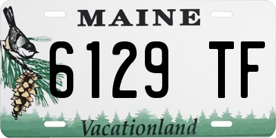 ME license plate 6129TF