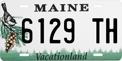 ME license plate 6129TH