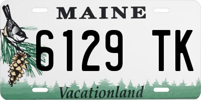 ME license plate 6129TK