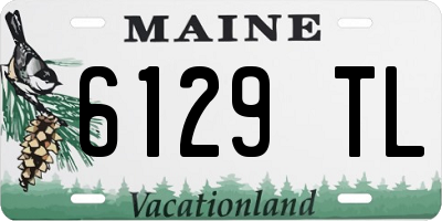 ME license plate 6129TL