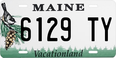 ME license plate 6129TY