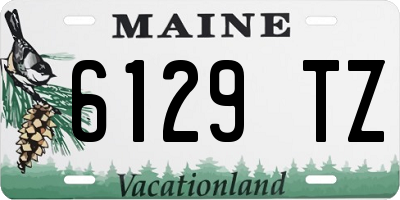 ME license plate 6129TZ