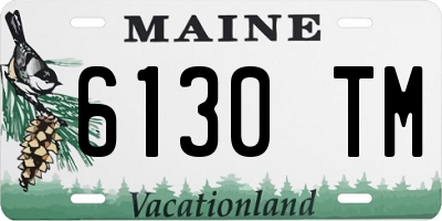 ME license plate 6130TM