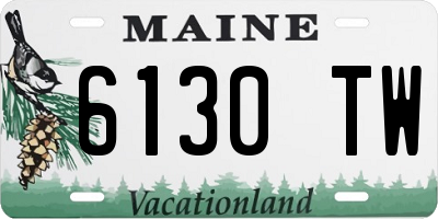 ME license plate 6130TW