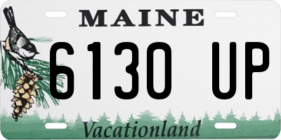 ME license plate 6130UP