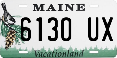 ME license plate 6130UX